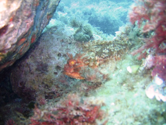 Torroella de Montgrí, España