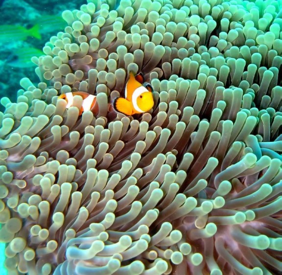 Port Blair, India