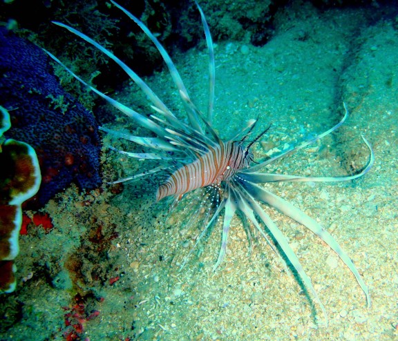port blair, india