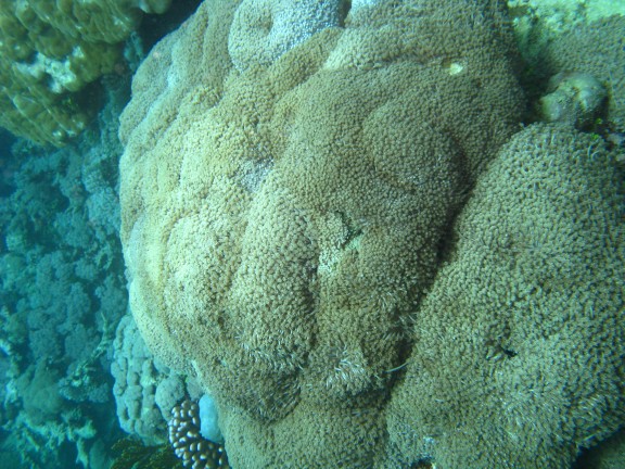 Queensland, Australia