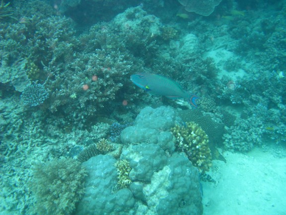 Queensland, Australia