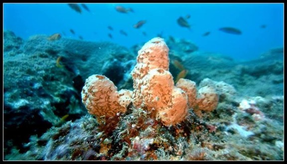 South Andaman, India