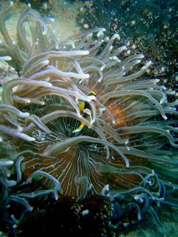 port blair, india