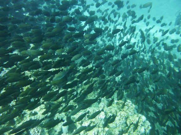 Dahab, Egypt