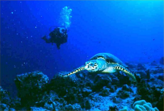 Maldives
