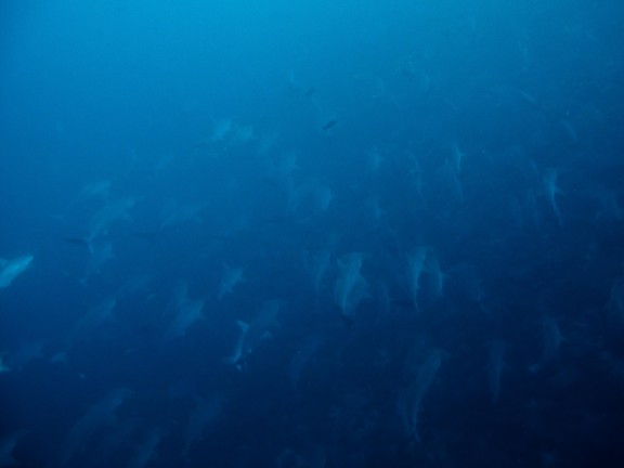 Revillagigedo Archipelago