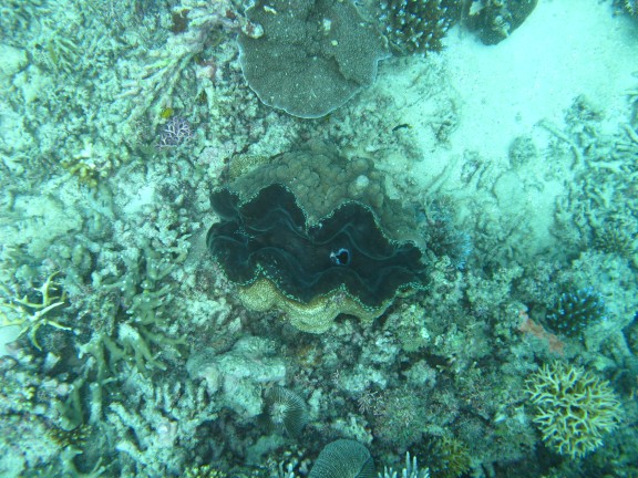 Queensland, Australia