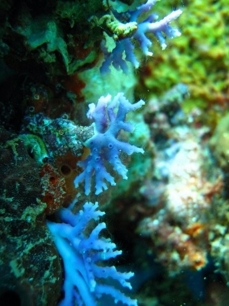 Aguadilla, Puerto Rico