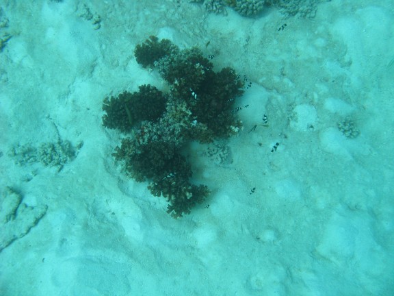 Queensland, Australia