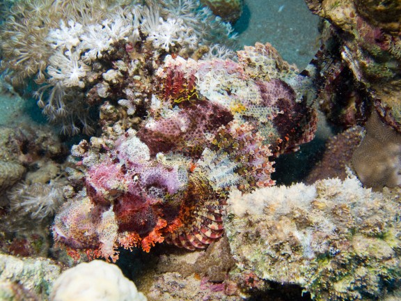 Aqaba, Jordan