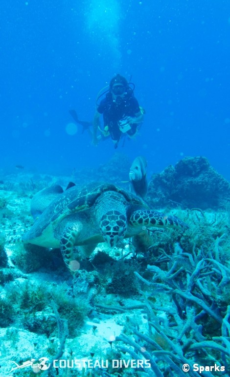 Quintana Roo, Mexico