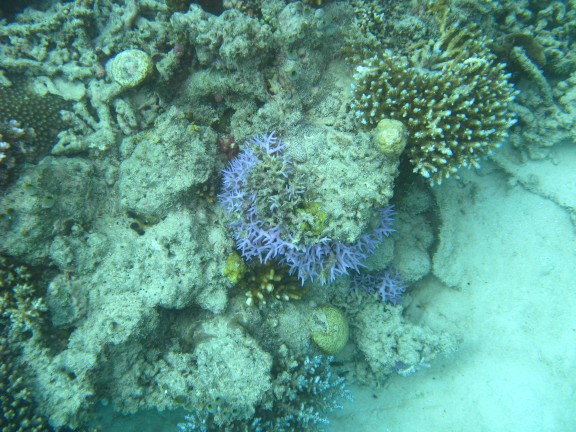 Queensland, Australia