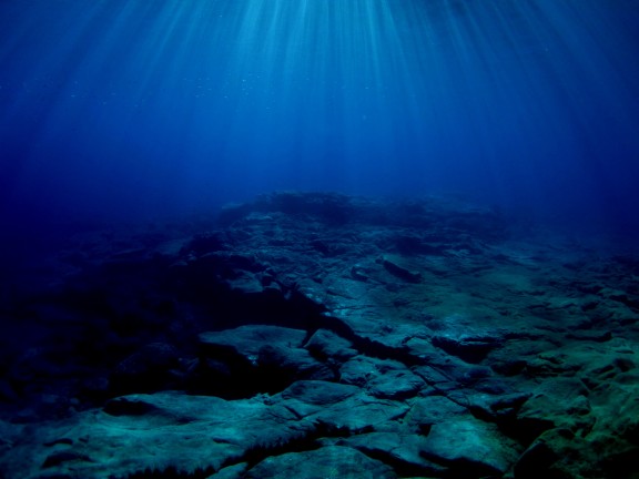 Fuerteventura