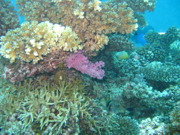 Queensland, Australia