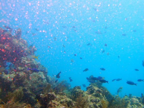 Key Largo