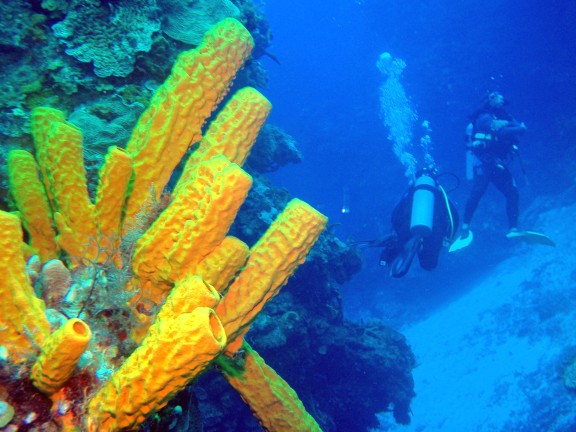 Quintana Roo, Mexico