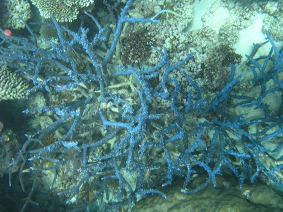 Queensland, Australia