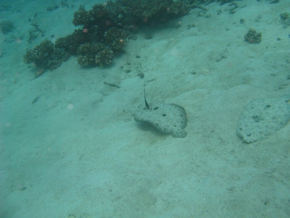 Queensland, Australia