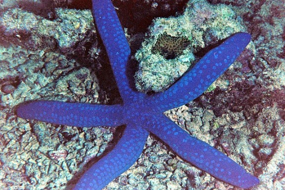 Shefa Province, Vanuatu