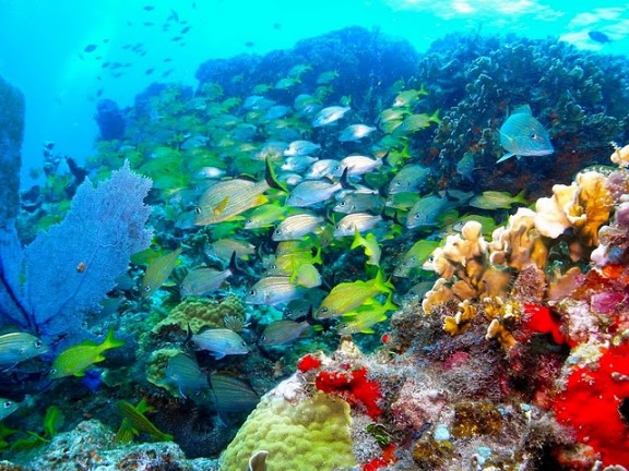 Isla Mujeres, México