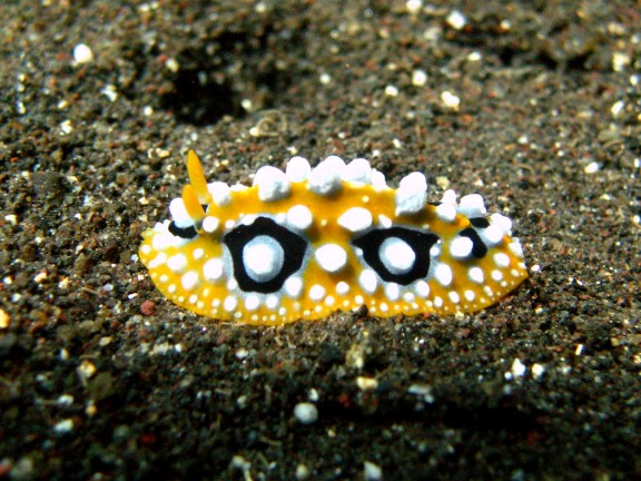 Baturiti, Indonesien