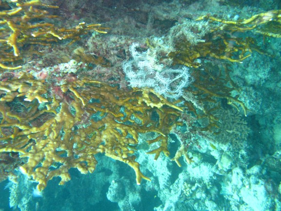 Queensland, Australia