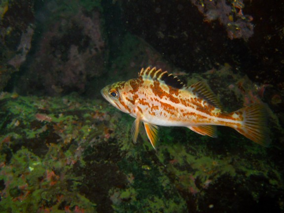 Victoria, Canada