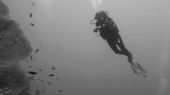 Qesm Sharm Ash Sheikh, Egypt
