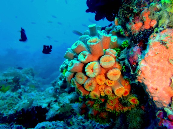 Andaman, India