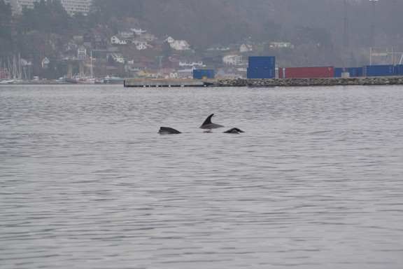 Sandnes, Norge