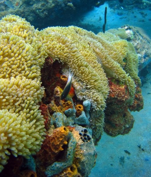 Aguadilla, Puerto Rico