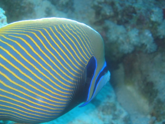 Hurghada, Egitto