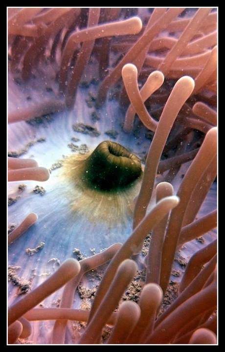South Andaman, India