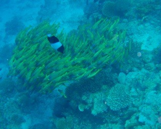 Fihalholi, Maldives
