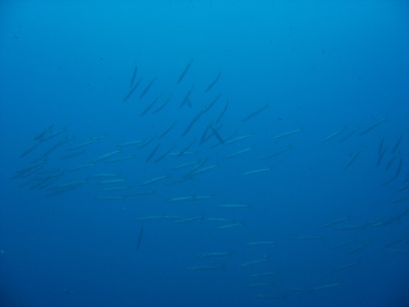 Felanitx, Spanien