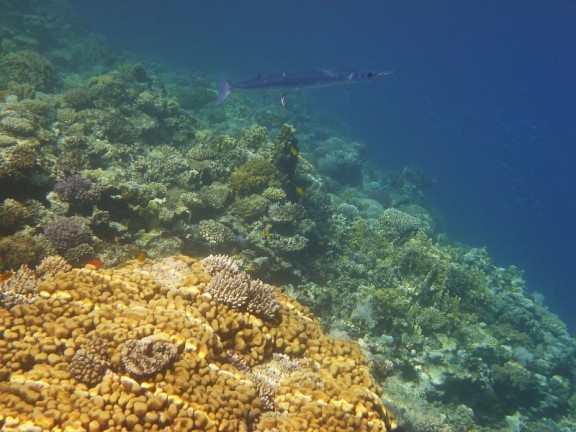 Dahab, Egypt