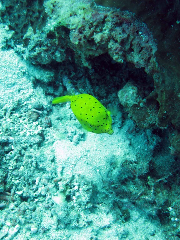 Gerokgak, Indonesia