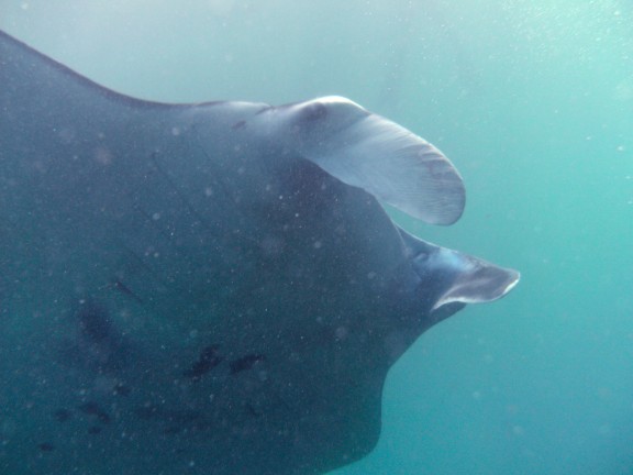 Nusapenida, Indonesia