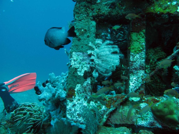 Kubu, Indonesia