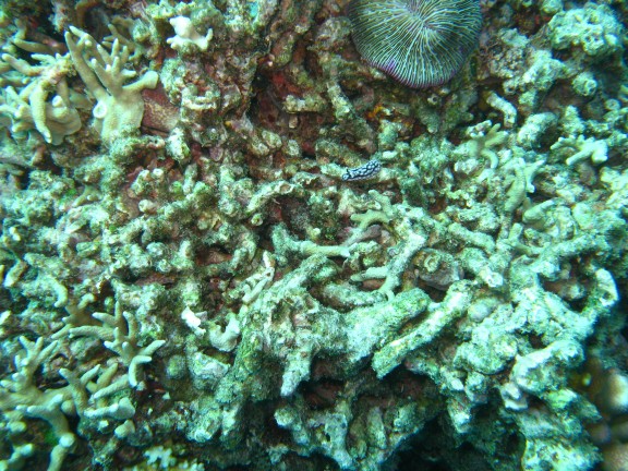 Queensland, Australia