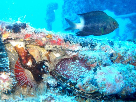 Pompano Beach, Florida