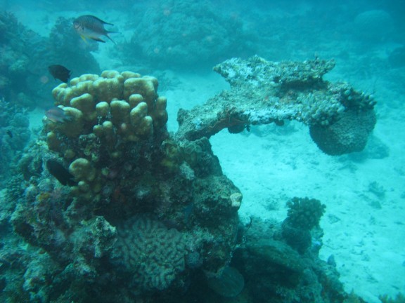 Queensland, Australia