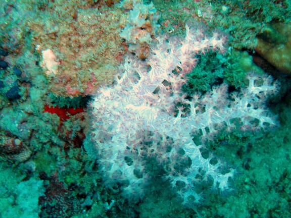 Port Blair, India