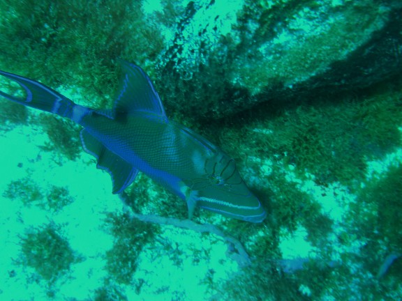 Cozumel, Mexico