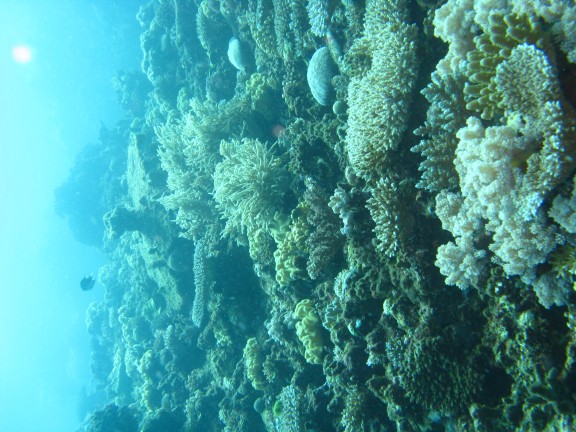 Queensland, Australia