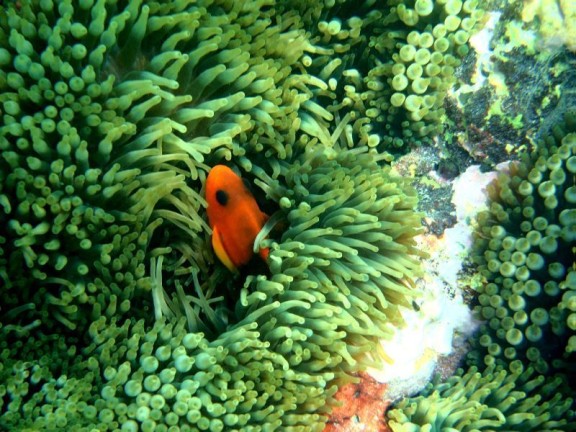 Port Blair, India