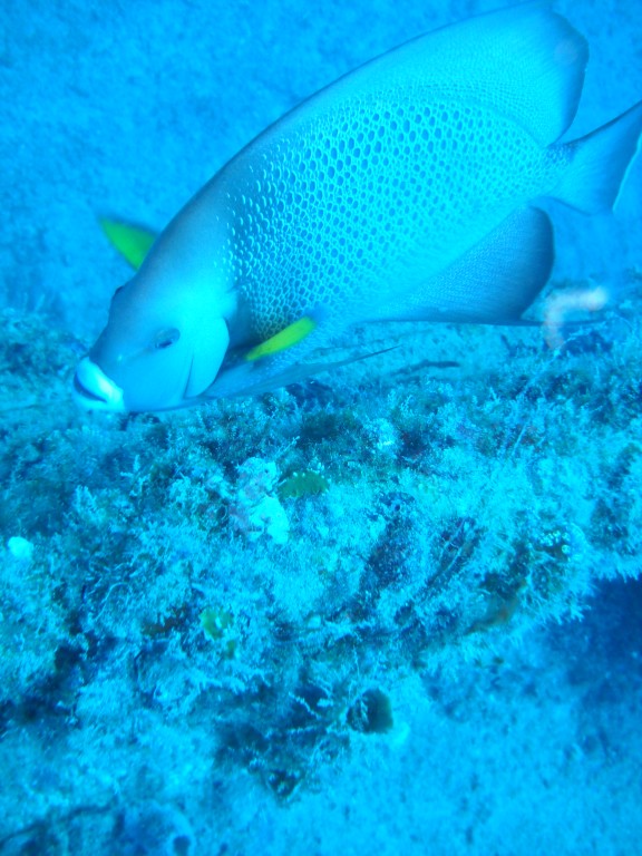 Pompano Beach, United States