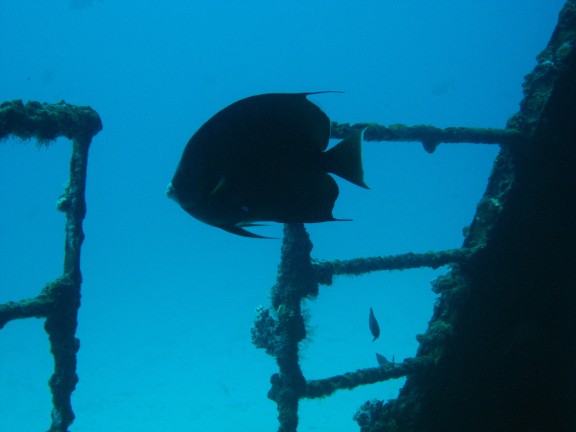 Isla Mujeres, Mexico