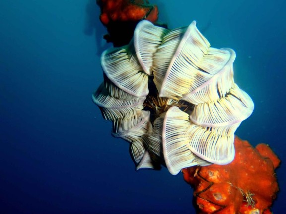 port blair, india