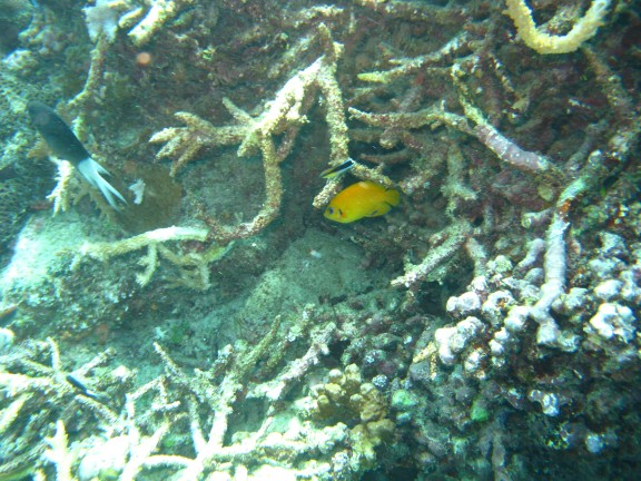 Queensland, Australia
